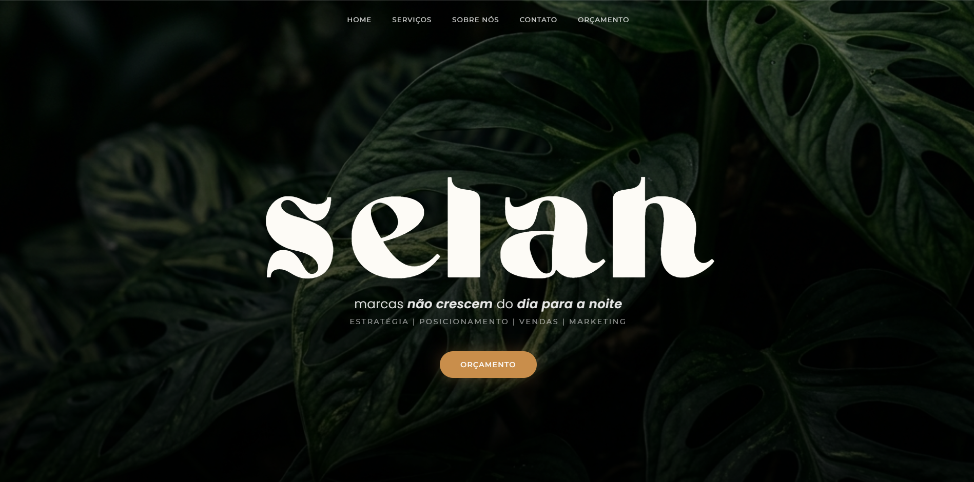 Site Institucional e CRM - Agência Selah